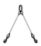 Двухветвевые