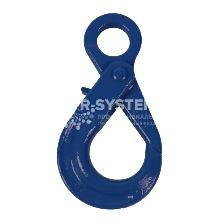 Крюк самозакрывающийся с проушиной Haklift VAKA1010 г/п 4 т, 10 класс - основное фото